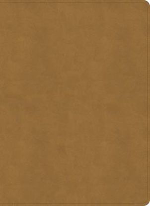 Picture of NASB Study Bible, Camel Suedesoft Leathertouch, Indexed