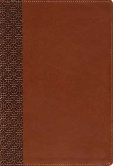 Picture of Amplified Holy Bible, Large Print, Leathersoft, Brown