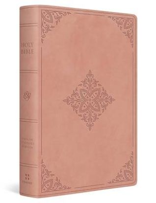 Picture of ESV Giant Print Value Thinline Bible (Trutone, Blush Rose, Fleur-De-Lis Design)