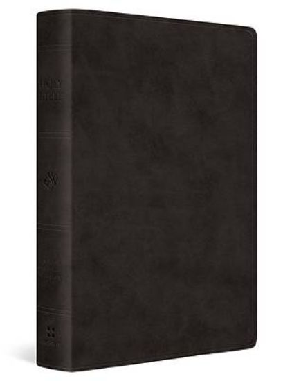 Picture of ESV Giant Print Value Thinline Bible (Trutone, Black)
