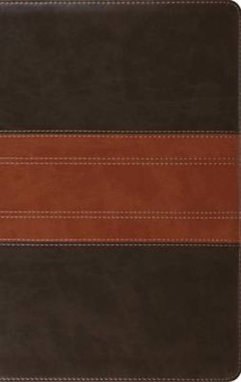 Picture of ESV Large Print Personal Size Bible, Red Letter, Indexed (Trutone, Forest/Tan, Trail Design)