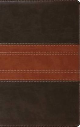 Picture of ESV Large Print Personal Size Bible, Red Letter (Trutone, Forest/Tan, Trail Design)