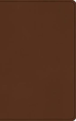 Picture of ESV Large Print Value Thinline Bible (Trutone, Camel)