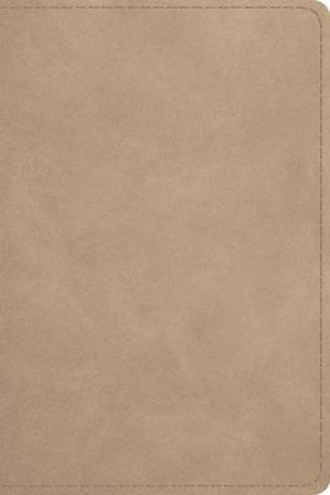 Picture of ESV Beholding Christ Bible