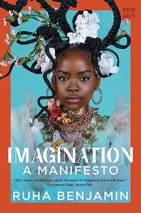 Picture of Imagination