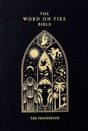 Picture of The Word on Fire Bible