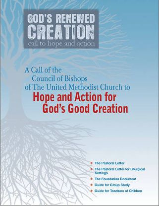 Picture of God's Renewed Creation - Downloadable PDF