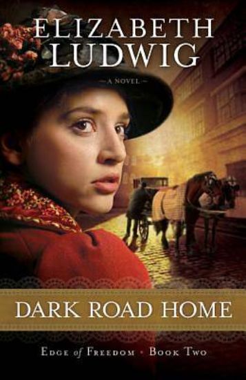 Picture of Dark Road Home - eBook [ePub]