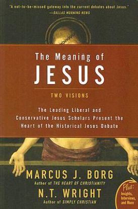 Picture of The Meaning of Jesus - eBook [ePub]