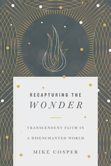 Picture of Recapturing the Wonder - eBook [ePub]