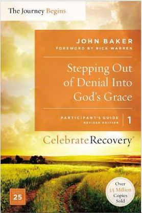 Picture of Stepping Out of Denial into God's Grace Participant's Guide 1 -