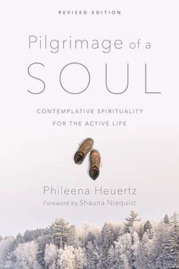 Picture of Pilgrimage of a Soul - eBook [ePub]