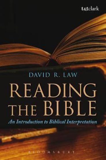 Picture of Reading the Bible