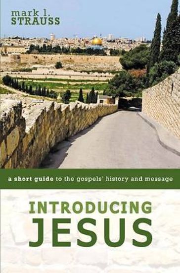 Picture of Introducing Jesus - eBook [ePub]