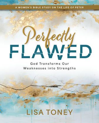 Picture of Perfectly Flawed Women's Bible Study Participant's Workbook
