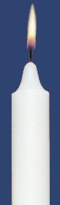 Picture of Stearic Altar Candles Emkay 8 7/8 x 7/8 Pack of 12 Self-fitting