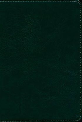 Picture of LSB Compact Edition Bible Forest Green Faux Leather