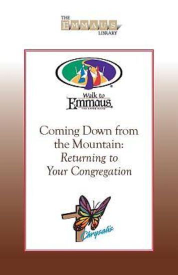 Picture of Coming Down from the Mountain - eBook [ePub]