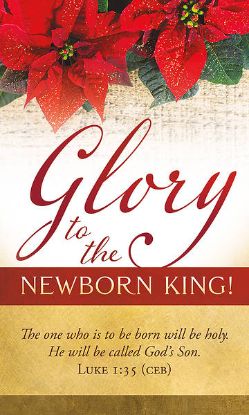 Picture of Banner Glory to the Newborn King Christmas 3 x 5 Vinyl