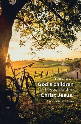 Picture of Word Alive! Weekly Bulletin without Message-Week 25, Legal Size (Package of 25)