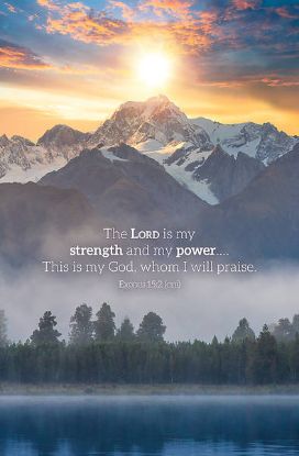 Picture of Word Alive! Weekly Bulletin with Message-Week 37, Letter Size (Package of 25)
