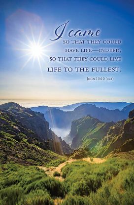 Picture of Word Alive! Weekly Bulletin with Message-Week 17, Letter Size (Package of 25)
