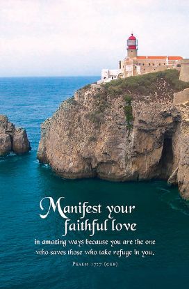 Picture of Word Alive! Weekly Bulletin without Message-Week 31, Letter Size (Package of 25)
