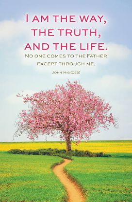 Picture of Word Alive! Weekly Bulletin with Message-Week 18, Letter Size (Package of 25)