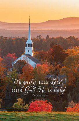 Picture of Word Alive! Weekly Bulletin without Message-Week 42, Legal Size (Package of 25)