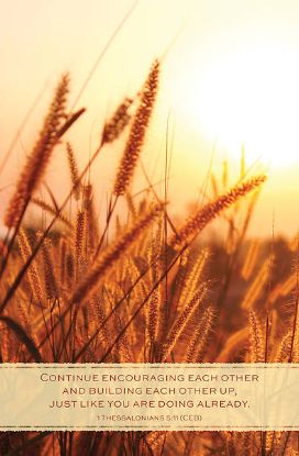 Picture of Word Alive! Weekly Bulletin without Message-Week 45, Legal Size (Package of 25)