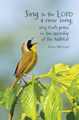 Picture of Word Alive! Weekly Bulletin without Message-Week 36, Letter Size (Package of 25)