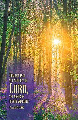 Picture of Word Alive! Weekly Bulletin without Message-Week 34, Letter Size (Package of 25)