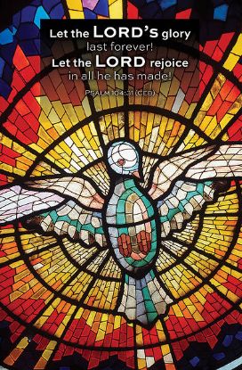 Picture of Word Alive! Weekly Bulletin with Message-Week 21, Letter Size (Package of 25)