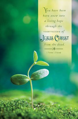 Picture of Word Alive! Weekly Bulletin with Message-Week 15, Letter Size (Package of 25)