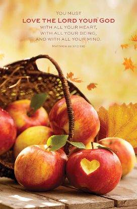 Picture of Word Alive! Weekly Bulletin with Message-Week 43, Letter Size (Package of 25)