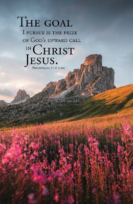 Picture of Word Alive! Weekly Bulletin without Message-Week 40, Legal Size (Package of 25)