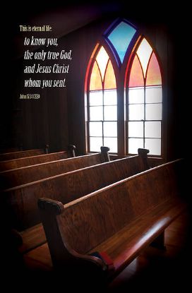 Picture of Word Alive! Weekly Bulletin without Message-Week 20, Letter Size (Package of 25)