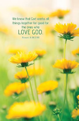 Picture of Word Alive! Weekly Bulletin with Message-Week 30, Letter Size (Package of 25)