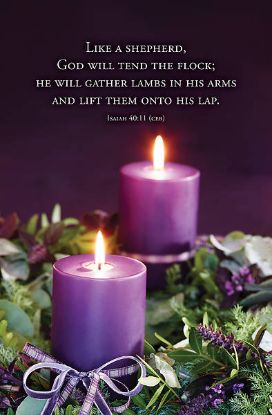 Picture of Word Alive! Weekly Bulletin without Message-Week 49, Legal Size (Package of 25)