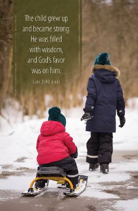 Picture of Word Alive! Weekly Bulletin without Message-Week 52, Letter Size (Package of 25)