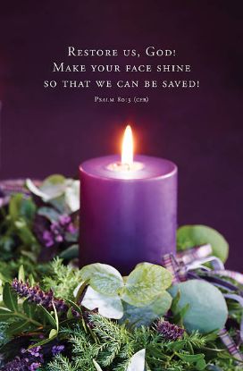 Picture of Word Alive! Weekly Bulletin without Message-Week 48, Legal Size (Package of 25)