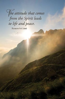 Picture of WordAlive Weekly Bulletin without Message-Week 12, Legal Size (Package of 25)