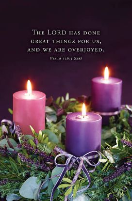 Picture of Word Alive! Weekly Bulletin without Message-Week 50, Letter Size (Package of 25)