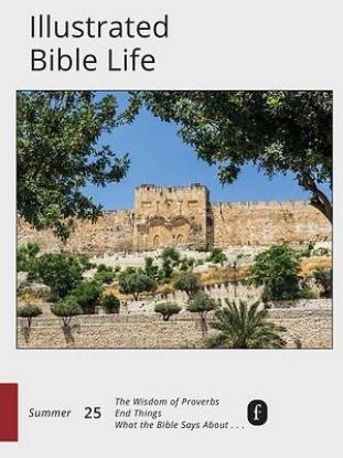 Picture of Faith Connections Illustrated Bible Life June/July/August 2025)