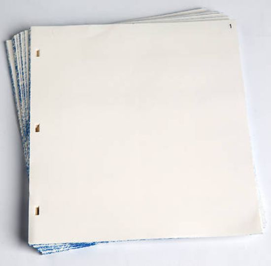Picture of Minutes of Session Numbered Extra Sheets - 9-3/4" x 11"