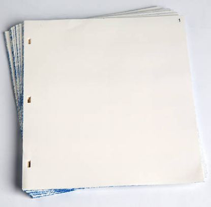 Picture of Minutes of Session Numbered Extra Sheets - 8 1/2" x 11"