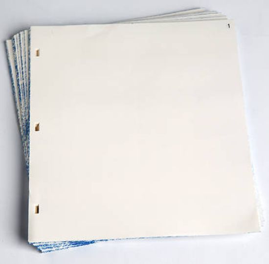 Picture of Minutes of Session Numbered Extra Sheets - 8 1/2" x 11"