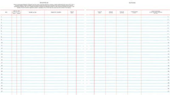 Picture of Westminster Church Register Binder Sheets   Baptisms